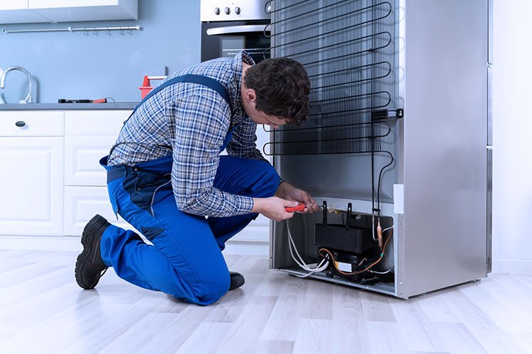 Precision Domestic Refrigerator Overhauling